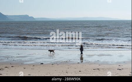 Lyme Regis, Dorset, Großbritannien. März 2020. Britische Wetterlage: Peoplee scheint den Regierungsratschlägen zu folgen, um soziale Distanzierungen zu betreiben und/oder sich von belebten Gebieten inmitten des Coronavirus-Ausbruchs fernzuhalten. Hundegänger an einem fast menschenleeren Strand in Lyme Regis. Kredit: Celia McMahon/Alamy Live News Stockfoto