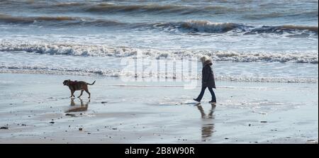 Lyme Regis, Dorset, Großbritannien. März 2020. Britische Wetterlage: Peoplee scheint den Regierungsratschlägen zu folgen, um soziale Distanzierungen zu betreiben und/oder sich von belebten Gebieten inmitten des Coronavirus-Ausbruchs fernzuhalten. Hundegänger an einem fast menschenleeren Strand in Lyme Regis. Kredit: Celia McMahon/Alamy Live News Stockfoto