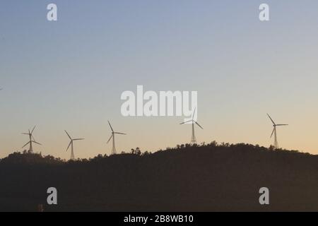 Windmühle in Reihen im Morgengrauen auf dem Berg Stockfoto