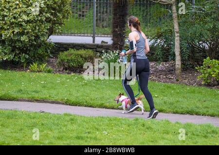 Ein weiblicher Jogger, der mit ihrem Jack Russell Hund im Trenance Park in Newquay in Cornwall läuft. Stockfoto