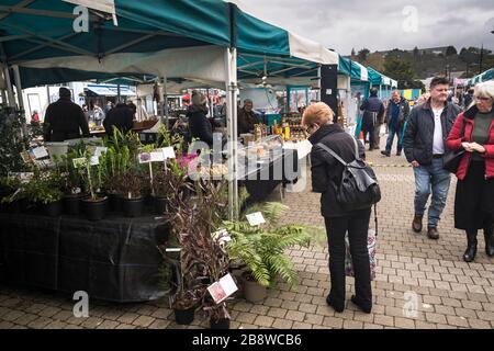 Menschen, die auf einem Bauernmarkt im Zentrum von Truro in Cornwall einkaufen. Stockfoto