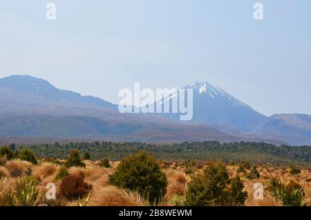 Blick auf einen schneebedeckten Vulkan bei Tongariro N.P. Neuseeland Stockfoto