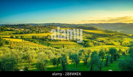 Panzano in Chianti Weinberg und Panorama bei Sonnenuntergang im Herbst. Toskana, Italien Europa. Stockfoto