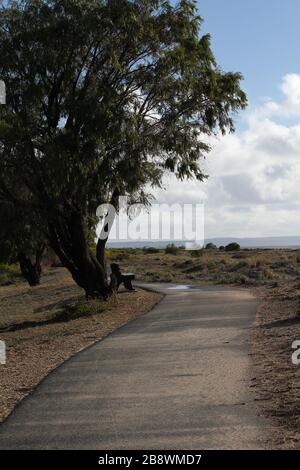 Die lange kurvenreiche Straße Busselton, Western Australia Stockfoto