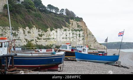 Die lokale Fischereiflotte strandete am Kiesstrand von Beer in East Devon, Großbritannien. Schiffe werden am Strand entlang mit dem Traktor zum und vom Meer geschleppt Stockfoto