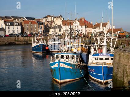 Fischerboote, die im Hafen von Pittenweem, östlich von Neuk, Fife Scotland, gefesselt sind. Stockfoto