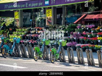 Bunte Szene von Fahrradverleihen vor einem Blumengeschäft in Paris, Frankreich. Stockfoto