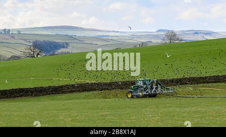 Bauer, der auf dem Bauernhof arbeitet und Traktor auf landschaftlich reizvollen Weidefeldern treibt, die Gülle mit Schleppschläuchen (Vögel fliegen) verbreiten - Yorkshire, England, Großbritannien. Stockfoto