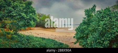 Penang Nationalpark an regnerischen Tag, Malaysia. Panorama Stockfoto