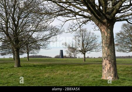 Black Mill, ein lokales Wahrzeichen, das von grünen Bäumen unter blauem Himmel im Westwood im frühen Frühjahr in der Nähe von Beverley, Yorkshire, Großbritannien, flankiert wird. Stockfoto