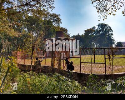 2 Giraffen Zu Fuß Im Zoo Stockfoto