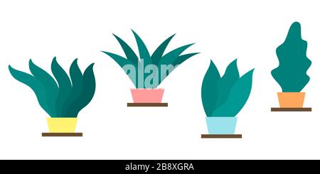 Vektor-Satz grüner Pflanzen in Töpfen. Abbildung in flacher Ausführung. Stock Vektor