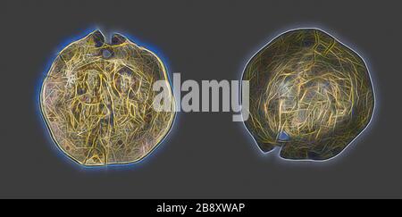 Hyperpyron (Münze) von Johannes II. Comnenus, AD 1118/1143, byzantinisch, Griechenland, Gold, Diam. 2,7 cm, 3,52 g, von Gibon neu erdacht, Design von warmem, fröhlichem Leuchten von Helligkeit und Lichtstrahlen. Klassische Kunst mit moderner Note neu erfunden. Fotografie, inspiriert vom Futurismus, die dynamische Energie moderner Technologie, Bewegung, Geschwindigkeit und Kultur revolutionieren. Stockfoto