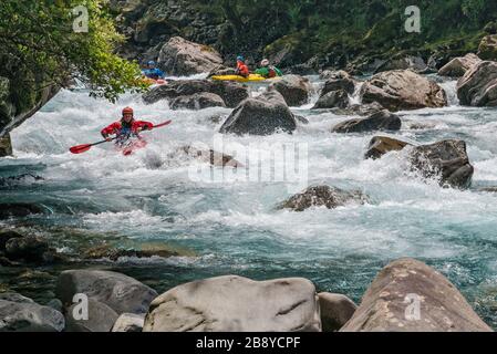 Kajakfahrer auf den Stromschnellen des Hollyford River, Fiordland National Park, in der Nähe des Milford Sound, Southland Region, South Island, Neuseeland Stockfoto