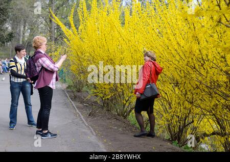 Frauen machen selfie im Stadtpark vor Gebüsch Botanischer Garten von Fomin, Kiew, Ukraine Stockfoto