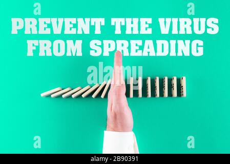Draufsicht über die männliche Hand verhindert, dass die Linie der Domino-Fliesen umstürzen und fallen kann, und verhindert, dass Coronavirus das Konzept verbreitet Stockfoto