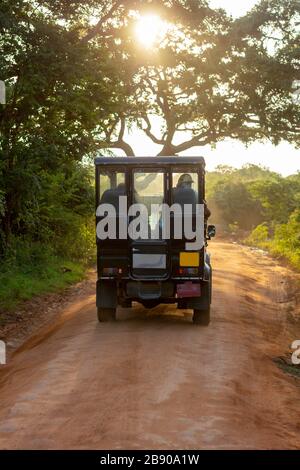 Sonnenuntergang in afrikanischen Savannen, Silhouetten von Safariautos und Tieren, Safarifahrt. Die Safari Fahrzeuge vor dem Hintergrund mit Wolken. Stockfoto