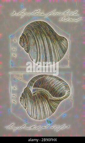 Ampulularia fasciata, Print, Ampulularia ist eine ausgestorbene Gattung von Süßwasserschnecken mit einem Operculum, einem aquatischen Gastropod-Weichtier in der Familie Ampulliariiiden., von Gibon neu erdacht, Design von warmem, fröhlichem Leuchten von Helligkeit und Lichtstrahlen. Klassische Kunst mit moderner Note neu erfunden. Fotografie, inspiriert vom Futurismus, die dynamische Energie moderner Technologie, Bewegung, Geschwindigkeit und Kultur revolutionieren. Stockfoto