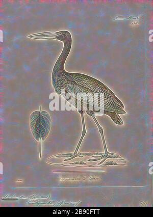 Anastomus lamelligerus, Print, der Afrikanische Schöffenschnabel (Anastomus lamelligerus) ist eine Storchenart in der Familie Ciconiiden. Sie ist in großen Teilen Afrikas südlich der Sahara heimisch, 1700-1880, von Gibon neu erdacht, Design von warmem, fröhlichem Leuchten von Helligkeit und Lichtstrahlen. Klassische Kunst mit moderner Note neu erfunden. Fotografie, inspiriert vom Futurismus, die dynamische Energie moderner Technologie, Bewegung, Geschwindigkeit und Kultur revolutionieren. Stockfoto