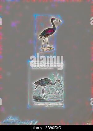 Anastomus lamelligerus, Print, der Afrikanische Schöffenschnabel (Anastomus lamelligerus) ist eine Storchenart in der Familie Ciconiiden. Sie ist in großen Teilen Afrikas südlich der Sahara heimisch, 1700-1880, von Gibon neu erdacht, Design von warmem, fröhlichem Leuchten von Helligkeit und Lichtstrahlen. Klassische Kunst mit moderner Note neu erfunden. Fotografie, inspiriert vom Futurismus, die dynamische Energie moderner Technologie, Bewegung, Geschwindigkeit und Kultur revolutionieren. Stockfoto