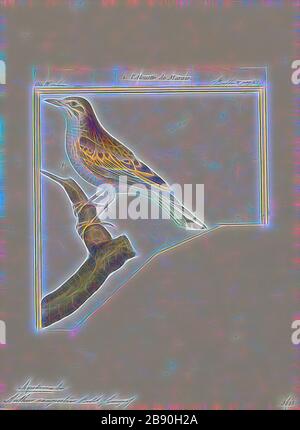 Anthus campestris, Print, The tawny pipit (Anthus campestris) ist ein mittelgroßer Passiervogel, der in weiten Teilen des gemäßigten Europas und Asiens sowie im Nordwesten Afrikas brütet. Es ist ein Migrant, der im Winter ins tropische Afrika und den indischen Subkontinent zieht. Der wissenschaftliche Name stammt aus dem Lateinischen. Anthus ist die Bezeichnung für einen kleinen Graslandvogel und die spezifischen Campestris Mittel der Felder, 1700-1880, von Gibon neu erdacht, Gestaltung von warmem, fröhlichem Leuchten von Helligkeit und Lichtstrahlen. Klassische Kunst mit moderner Note neu erfunden. Fotografie, inspiriert vom Futurismus, mit dynamischer Energie von mo Stockfoto