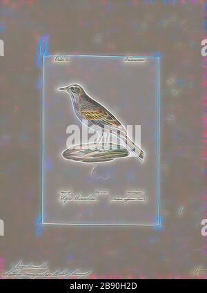 Anthus campestris, Print, The tawny pipit (Anthus campestris) ist ein mittelgroßer Passiervogel, der in weiten Teilen des gemäßigten Europas und Asiens sowie im Nordwesten Afrikas brütet. Es ist ein Migrant, der im Winter ins tropische Afrika und den indischen Subkontinent zieht. Der wissenschaftliche Name stammt aus dem Lateinischen. Anthus ist die Bezeichnung für einen kleinen Graslandvogel und die spezifischen Campestris Mittel der Felder., 1842-1848, von Gibon neu erdacht, Gestaltung von warmem, fröhlichem Leuchten von Helligkeit und Lichtstrahlen. Klassische Kunst mit moderner Note neu erfunden. Fotografie, inspiriert vom Futurismus, mit dynamischer Energie von mo Stockfoto