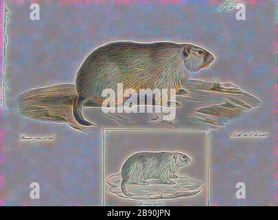 Arctomys monax, Print, The Groundhog (Marmota monax), auch Holzschnabel genannt, ist ein Nagetier der Familie Sciurifax, das zur Gruppe der großen Erdhörnchen gehört, die als Murmeltiere bekannt sind. Sie wurde 1758 von Carl Linnaeus erstmals wissenschaftlich beschrieben. Der Erdhog wird auch als Futter, Holzschock, Erdschwein, whistlebig, whistler, Dickholzbadger, Canada Murmot, Monax, Moonack, Weenusk, roter Mönch und unter den französischen Kanadiern im Osten Kanadas Siffleux bezeichnet. Der Name Dickholzbadger wurde im Nordwesten zur Unterscheidung des Tieres vom Präriebadger vergeben. Monax (Móonack) ist ein Algonquian Stockfoto