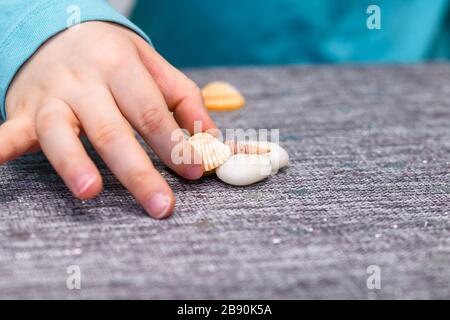 Nahaufnahme der fünf Jahre alten Jungen, die mit Muscheln und Kieselsteinen auf einem Tisch spielen. Er hat ein türkisfarbenes Hemd und nimmt ein Seashell auf. Stockfoto