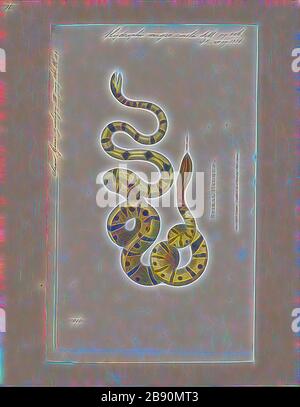 Hydrophis nigrocincta, Print, Hydophis nigrocinctus ist eine Art der marinen Venenschlangen Elapiden (Hydrophiinae-Seeschlange). Verbreitung: Indischer Ozean: Indien, Bangladesch, Sri Lanka, Myanmar (= Birma), Thailand, Malaysia., 1700-1880, von Gibon neu vorgestellt, Design von warmem, fröhlichem Leuchten von Helligkeit und Lichtstrahlen. Klassische Kunst mit moderner Note neu erfunden. Fotografie, inspiriert vom Futurismus, die dynamische Energie moderner Technologie, Bewegung, Geschwindigkeit und Kultur revolutionieren. Stockfoto