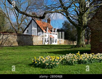 Cottage on the Village Green, Bishop Burton, East Yorkshire, England UK Stockfoto