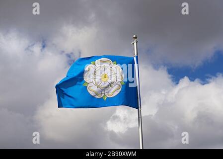 Flagge Fliegen: Die weiße Rose von Yorkshire Stockfoto