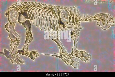 Megatherium cuvierii, Drucken, Megatherium ist eine Gattung von Elefant mittleren Boden Faultiere endemisch auf Südamerika, manchmal auch die Giant Ground Sloth, der von den frühen Pliozän bis zum Ende des Pleistozän gelebt. Nur wenige andere Landsäugetiere erreicht oder übertroffen, Megatherium in der Größe, wie große proboscideans (z.b. Elefanten) und den riesigen Nashorn Paraceratherium. Megatherium wurde erstmals im Jahre 1788 entdeckte auf der Bank der Lujan Fluss in Argentinien, der holotyp Probe wurde dann nach Spanien abgesandt wurden, im folgenden Jahr. Darin heisst es, die Aufmerksamkeit der geschätzten Paläontologe Geo gefangen Stockfoto