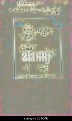 Nereis heteropoda, Drucken, Nereis ist eine Gattung der polychaete Worms in der Familie Nereididae. Sie umfasst viele Arten, von denen die meisten Marine sind. Nereis besitzen Seten und parapodia für Fortbewegung. Sie können zwei Arten von Haaren, die auf der Parapodia gefunden werden. Nadelig seten unterstützen. Bewegungsapparat chaetae sind für Kriechen, und sind die Borsten, die sichtbar an der Außenseite der Polychaeta sind. Sie sind eine zylindrische Form, fand nicht nur in den sandigen Gebieten, und Sie sind zu graben angepasst. Sie klammern sich an Seegras (Posidonia) oder andere Gras auf Felsen und manchmal in großen Gruppen zu sammeln. Stockfoto