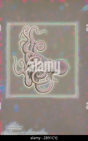 Tintenfisch Cirrhosus, Print, der Tintenfisch ist ein weiches, achtlimmendes Weichtier der Ordnung Octopoda. Es werden etwa 300 Arten anerkannt, und die Ordnung wird innerhalb der Klasse Cephalopoda mit Tintenfischen, Tintenfischen und Nautiloiden zusammengefasst. Wie andere Kopffüßer ist der Kraken bilateral symmetrisch mit zwei Augen und einem Schnabel, wobei sein Mund im Mittelpunkt der acht Gliedmaßen steht (Tentakel wird als Oberbegriff für Kopffüßer verwendet, In einem teuthologischen Kontext wird jedoch mit Arm auf solche Gliedmaßen Bezug genommen, während Tentakel für die Fütterung von Anhängen reserviert ist, die nicht auf Kraken gefunden wurden). Der weiche Körper kann Stockfoto