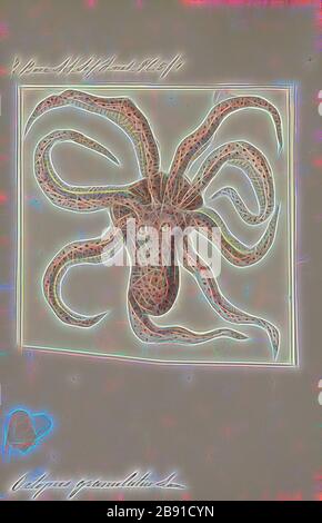 Kraktopus granulatus, Print, der Kraken ist ein Weichtier, achtlimmter Weichmollusk der Ordnung Octopoda. Es werden etwa 300 Arten anerkannt, und die Ordnung wird innerhalb der Klasse Cephalopoda mit Tintenfischen, Tintenfischen und Nautiloiden zusammengefasst. Wie andere Kopffüßer ist der Kraken bilateral symmetrisch mit zwei Augen und einem Schnabel, wobei sein Mund im Mittelpunkt der acht Gliedmaßen steht (Tentakel wird als Oberbegriff für Kopffüßer verwendet, In einem teuthologischen Kontext wird jedoch mit Arm auf solche Gliedmaßen Bezug genommen, während Tentakel für die Fütterung von Anhängen reserviert ist, die nicht auf Kraken gefunden wurden). Der weiche Körper kann Stockfoto