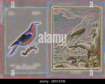 Oriolus galbula, Print, die eurasische goldene Oriole (Oriolus oriolus) oder einfach goldene Oriole, ist das einzige Mitglied der oriolischen Familie der Passvögel, die in gemäßigten Gebieten der nördlichen Hemisphäre brüten. Es ist ein Sommermigrant in Europa und Westasien und verbringt die Wintersaison im zentralen und südlichen Afrika., 1700-1880, von Gibon neu vorgestellt, Design von warmem, fröhlichem Leuchten von Helligkeit und Lichtstrahlen. Klassische Kunst mit moderner Note neu erfunden. Fotografie, inspiriert vom Futurismus, die dynamische Energie moderner Technologie, Bewegung, Geschwindigkeit und Kultur revolutionieren. Stockfoto