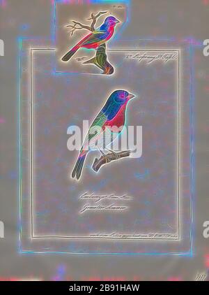 Passerina ciris, Print, The Painted Bunting (Passerina ciris) ist eine in Nordamerika heimische Vogelart in der Familie der Kardinäle Cardinalidias. Das helle Gefieders des Männchens kommt erst im zweiten Lebensjahr, im ersten Jahr kann man sie nur durch eine genaue Betrachtung vom Weibchen unterscheiden: 1700-1880, von Gibon neu vorgestellt, Design von warmfröhlichem Leuchten von Helligkeit und Lichtstrahlen. Klassische Kunst mit moderner Note neu erfunden. Fotografie, inspiriert vom Futurismus, die dynamische Energie moderner Technologie, Bewegung, Geschwindigkeit und Kultur revolutionieren. Stockfoto
