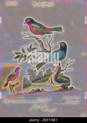 Passerina ciris, Print, The Painted Bunting (Passerina ciris) ist eine in Nordamerika heimische Vogelart in der Familie der Kardinäle Cardinalidias. Das helle Gefieders des Männchens kommt erst im zweiten Lebensjahr, im ersten Jahr kann man sie nur durch eine genaue Betrachtung vom Weibchen unterscheiden: 1700-1880, von Gibon neu vorgestellt, Design von warmfröhlichem Leuchten von Helligkeit und Lichtstrahlen. Klassische Kunst mit moderner Note neu erfunden. Fotografie, inspiriert vom Futurismus, die dynamische Energie moderner Technologie, Bewegung, Geschwindigkeit und Kultur revolutionieren. Stockfoto