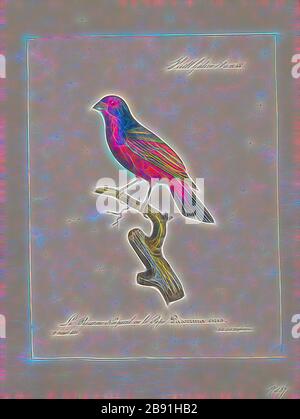 Passerina ciris, Print, The Painted Bunting (Passerina ciris) ist eine in Nordamerika heimische Vogelart in der Familie der Kardinäle Cardinalidias. Das helle Gefieders des Männchens kommt erst im zweiten Lebensjahr, im ersten Jahr kann man sie nur durch eine genaue Betrachtung vom Weibchen unterscheiden:, 1825-1834, von Gibon neu vorgestellt, Design von warmfröhlichem Leuchten von Helligkeit und Lichtstrahlen. Klassische Kunst mit moderner Note neu erfunden. Fotografie, inspiriert vom Futurismus, die dynamische Energie moderner Technologie, Bewegung, Geschwindigkeit und Kultur revolutionieren. Stockfoto