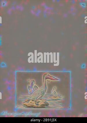 Pelecanus crispus, Drucken, der Krauskopfpelikan (Pelecanus crispus) ist die massivste Mitglied der Pelican Familie, und vielleicht der weltweit größte Süßwasser-Vogel, obwohl in Gewicht und Länge des größten Schwäne rivalisiert. Sie sind elegant hochfliegende Vögel, mit wingspans, Rivale, der großen Albatrosse und ihre Herden fliegen in würdevollem Synchronizität. Es ist eine kurze bis mittlere Distanzen Migranten zwischen Zucht und Überwinterung. Keine Unterarten bekannt sind, über die breite Palette zu existieren, sondern von der Größe Unterschiede basiert, ein pleistozän paleocrispus paleosubspecies, S. C., ist beschrieben worden w Stockfoto