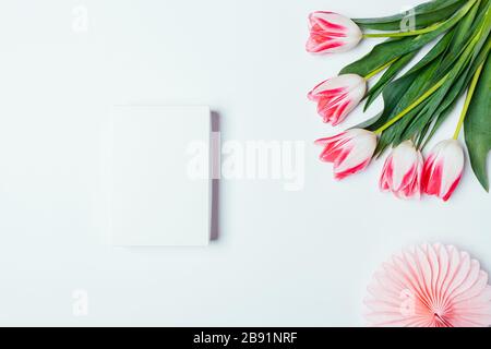 Flat lag leeres Kästchen neben den Blumenstrauß-rosafarbenen Tulpenblumen und der Papierdekoration auf weißem Hintergrund. Stockfoto