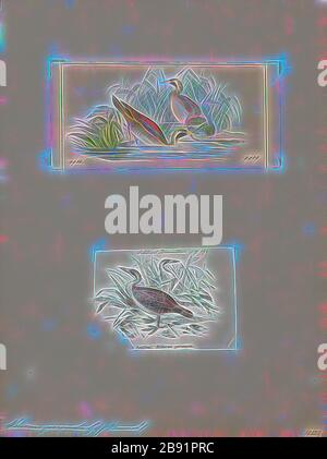 Podica personata, Print, Afrikanischer Finfuß, Afrikanischer Finfuß (Podica senegalensis) ist ein Wasservogel aus der Familie der Heliornithiden (der Finfüßer und der Sonnenbrust). Die Art lebt in den Flüssen und Seen des westlichen, zentralen und südlichen Afrikas., 1700-1880, von Gibon neu vorgestellt, Design von warmem, fröhlichem Leuchten von Helligkeit und Lichtstrahlen. Klassische Kunst mit moderner Note neu erfunden. Fotografie, inspiriert vom Futurismus, die dynamische Energie moderner Technologie, Bewegung, Geschwindigkeit und Kultur revolutionieren. Stockfoto