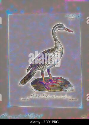 Podica senegalensis, Print, der Afrikanische Finfuß (Podica senegalensis) ist ein Wasservogel aus der Familie der Heliornithiden (der Finnfüßer und der Sonnenbrust). Die Art lebt in den Flüssen und Seen des westlichen, zentralen und südlichen Afrikas., 1825-1834, von Gibon neu erdacht, Design von warmem fröhlichem Leuchten von Helligkeit und Lichtstrahlen. Klassische Kunst mit moderner Note neu erfunden. Fotografie, inspiriert vom Futurismus, die dynamische Energie moderner Technologie, Bewegung, Geschwindigkeit und Kultur revolutionieren. Stockfoto