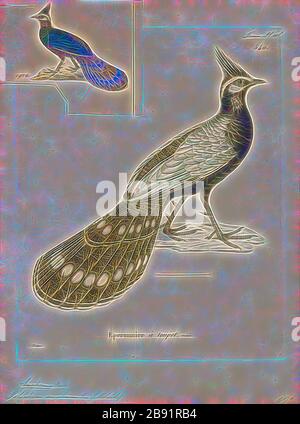 Polyplectron emphanum, Print, der Palawan Pfauenfasan (Polyplectron napoleonis) ist ein mittelgroßer (bis zu 50 cm langer) Vogel in der Familie Phasianianidis., von Gibon neu gefasst, Design von warmfröhlichem Leuchten von Helligkeit und Lichtstrahlen. Klassische Kunst mit moderner Note neu erfunden. Fotografie, inspiriert vom Futurismus, die dynamische Energie moderner Technologie, Bewegung, Geschwindigkeit und Kultur revolutionieren. Stockfoto