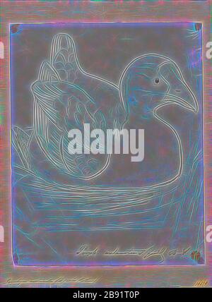 Porphyrio melanotus, Print, die Australasischen Schwamphen (Porphyrio melanotus) sind eine im Osten Indonesiens (Molukken-, Aru- und Kai-Inseln), Papua-Neuguinea, Australien und Neuseeland vorkommende Schwalbenart (Porphyrio). In Neuseeland ist er als Pukeko (aus dem Māori pūkeko) bekannt. Die Art galt früher als eine Unterart der Purpurschampen, 1850-1883, von Gibon neu erdacht, Gestaltung von warmfröhlichem Leuchten von Helligkeit und Lichtstrahlen. Klassische Kunst mit moderner Note neu erfunden. Fotografie inspiriert von Futurismus, die dynamische Energie moderner Technologie, Movemen, umfasst Stockfoto