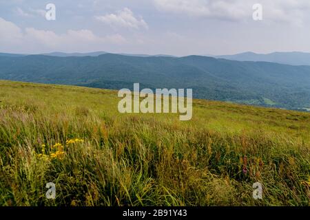 Wetlinska Polonyna im Bieszczady-Gebirge in Polen Stockfoto