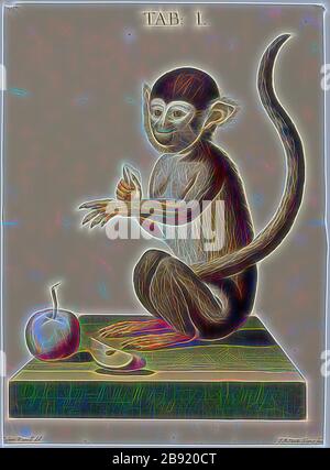 Saimiri, Print, Squirrel Monkeys sind Neuweltaffen der Gattung Saimiri. Saimiri ist die einzige Gattung in der Familie Saimirinae. Der Name der Gattung stammt aus Tupi (sai-mirim oder Gai-mbirin &lt, sai 'monkey' und mirim 'small') und wurde auch von frühen Forschern als englischer Name verwendet., 1748, von Gibon neu vorgestellt, Design von warmem, fröhlichem Leuchten von Helligkeit und Lichtstrahlen. Klassische Kunst mit moderner Note neu erfunden. Fotografie, inspiriert vom Futurismus, die dynamische Energie moderner Technologie, Bewegung, Geschwindigkeit und Kultur revolutionieren. Stockfoto