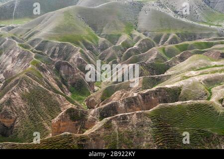 Nach einer seltenen Regenzeit in der Negev-Wüste, Israel, sprießen unzählige Wildblumen und blühen. Fotografiert Kidron Valley, Judaean Desert, W Stockfoto