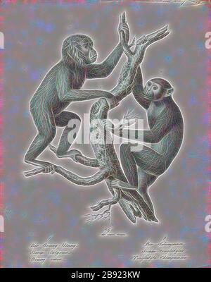 Simia troglodytes, Print, der Schimpanse (Pan troglodytes), auch bekannt als der gemeine Schimpanse, robuster Schimpanse oder einfach Schimpanse, von Gibon neu vorgestellt, Design von warmfröhlichem Leuchten von Helligkeit und Lichtstrahlen. Klassische Kunst mit moderner Note neu erfunden. Fotografie, inspiriert vom Futurismus, die dynamische Energie moderner Technologie, Bewegung, Geschwindigkeit und Kultur revolutionieren. Stockfoto