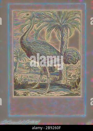 Struthio camelus, Print, der gemeine Strauß (Struthio camelus), oder einfach Strauß, ist eine Art großer flugloser Vogel, der in bestimmten großen Gebieten Afrikas beheimatet ist. Sie ist eine von zwei extanten Straußenarten, den einzigen lebenden Mitgliedern der Gattung Struthio in der ratitischen Ordnung der Vögel. Der andere ist der Somali-Strauß (Struthio molybdophanes), der 2014 von BirdLife International als eigenständige Art anerkannt wurde und früher als eine sehr markante Straußenart galt., 1700-1880, von Gibon neu vorgestellt, Entwurf eines warmfröhlichen Lichtreichens. C Stockfoto